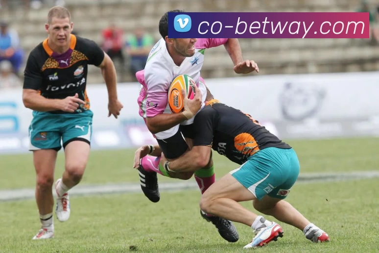 必威BETWAY官网平台生态图